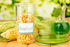 The Gibb biofuel availability
